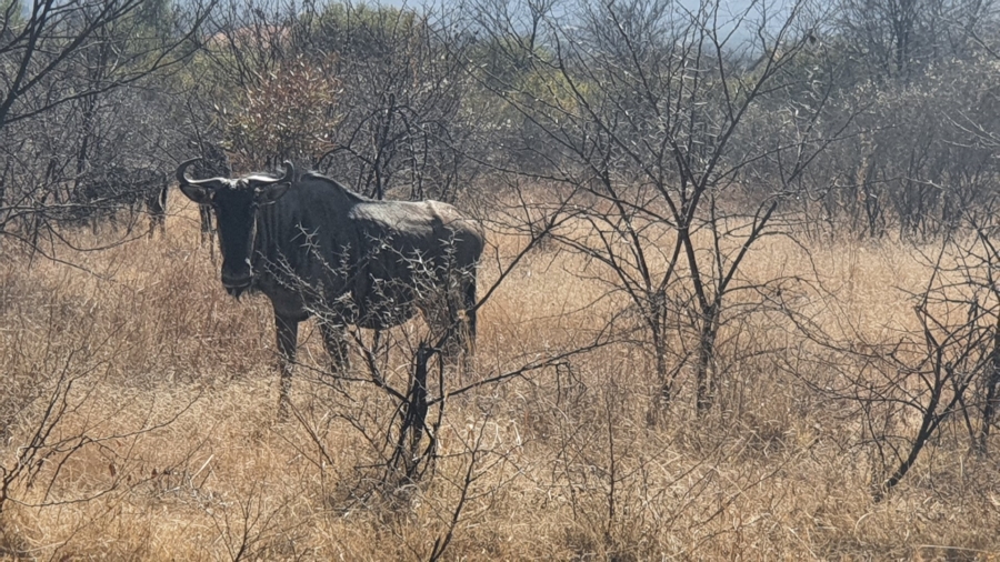  Bedroom Property for Sale in Hartbeespoort Rural North West